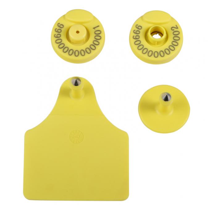 RFID Identification Recording Easy To Management ,can Customize Colour