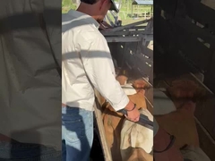 PT290 LF cattle ear tag reader RFID stick reader