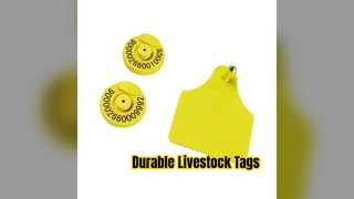 20 Year Livestock Ear Tags For Cattle
