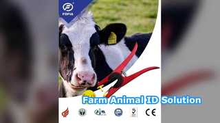 Livestock ID Tags ISO Certified 100k Write Cycle
