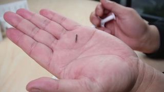 Next-Gen Pet Microchip with Temperature | Watch Injector Demo