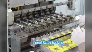 Cattle Tracker Ear Tag Rumen Bolus Sensor