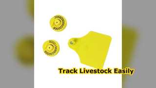 Durable Livestock Ear Tags Improve Farm Tracking