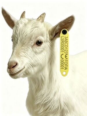High-Temperature Resistant Anti-Shedding RFID Ear Tag for Sheep with TPU Material and Built-in RFID Chip