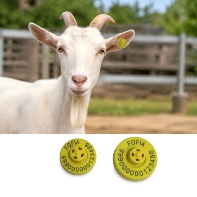 Read range up to 22 cm with handheld reader swine ear tags laser printing durable livestock identification solution