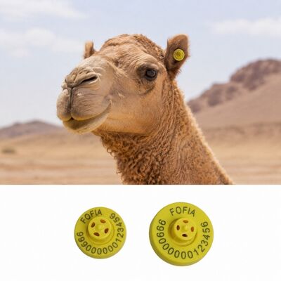 Frequency 1342KHz Cow Ear Tags 4 To 7.4 Grams Effective Tags For Cattle/Camel Tracking And Livestock Identification Systems