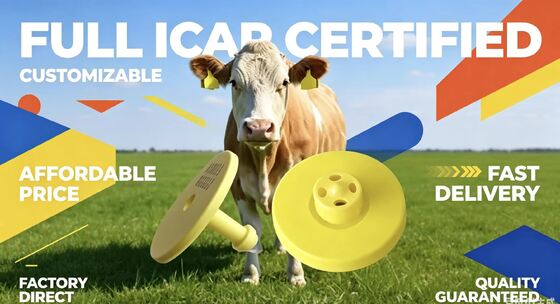 FUll ICAR Certified Durable FDX-B Electronic Ear Tags For Cattle Tracking And Identification Supporting Livestock Monitoring And Farm Traceability