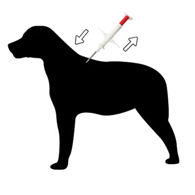 High-Precision Mini Animal Microchip Syringe for Small Dogs and Cats ZS007