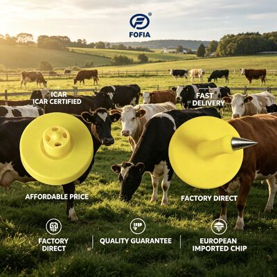 Electronic Ear Tags ICAR certified durable TPU design for livestock tracking and comprehensive cattle management systems