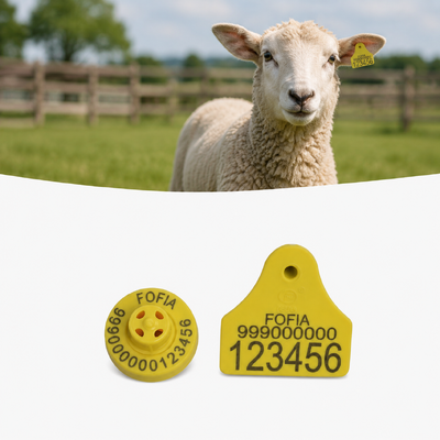 TPU Sheep Identification Tags Frequency 134.2KHz Lightweight Ear Tags Designed for Long Lasting Livestock Identification