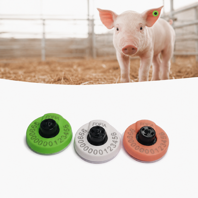 Read range up to 25 cm with handheld reader Electronic Ear Tags featuring TPU material white color customizable