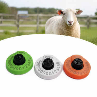 Durable Electronic Ear Tags for Livestock Tracking Suitable for Cattle Sheep and Goat Identification and Monitoring