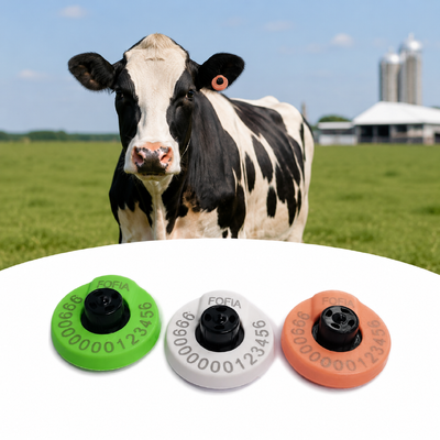 Identification swine ear tags perfect choice for farms animal identification and inventory control