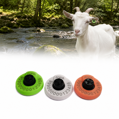 Farms 7.5 grams cattle ear tags manufactured for secure attachment reducing tag loss during cattle movement and handling