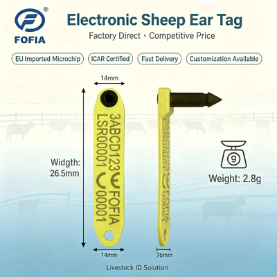 Secure Locking Ear Tag for Livestock Identification Designed for Cattle Sheep and Goats Providing Attachment and Comfort