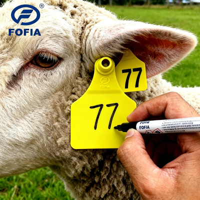 Active Agriculture Full ICAR Compliant RFID Ear Tags TPU For Pig Sheep Cattle Buffalo Livestock Farming Industry