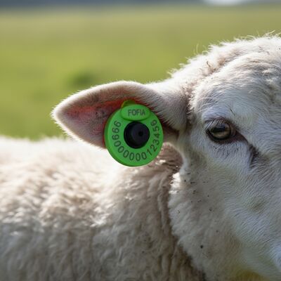 FOFIA RFID Electronic Ear Tag With TPU Plastic And Full ICAR Certificate For Cattle And Sheep Farm Use Tracking