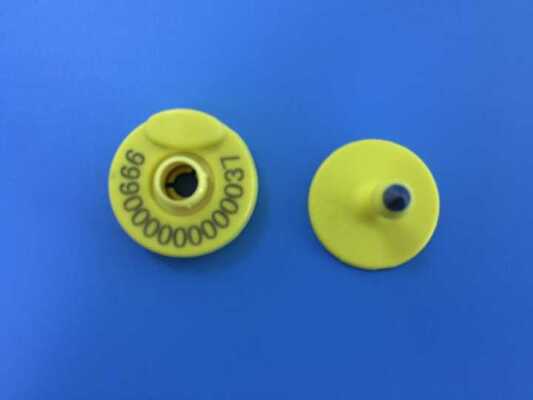 TPU Material RFID Ear Tags 134.2KHz Mini Cow Pig Ear Tag