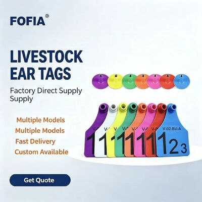Plastic Cow Ear Tags Various Sizes TPU Bovine Cattle Sheep Pig Farm Ear Mark Tags With Number