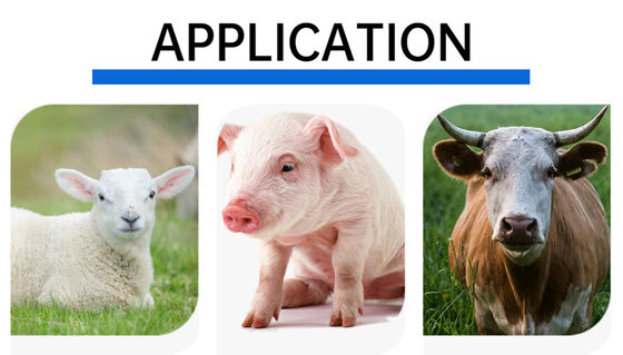 134.2khz Professional Livestock Animal Ear Tag