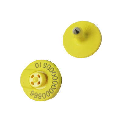 RFID FDX HDX Animal Electronic Ear Tags 134.2KHz  Livestock Pig Sheep Cattle