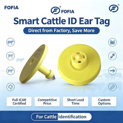 Full ICAR ET908+T901 Waterproof RFID LF TPU Yellow Animal Ear Tags 14.5mm EM4305 Chips 5 Year Warranty Cattle Fofia