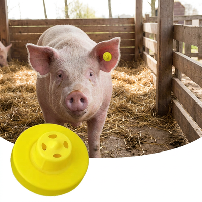 FULL ICAR 134.2KHz RFID Metal Ear Tag for Cattle Pig Sheep Enhanced Animal Identification Solution