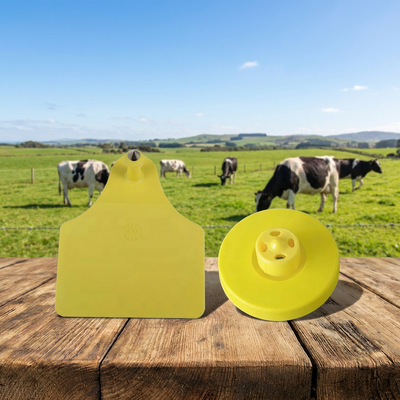 Yellow Pig Ear Tag Scannable Livestock FULL ICAR Identification Label High Visibility Suitable for Pig Farm Tracking System