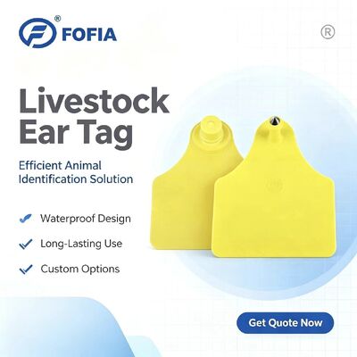 ICAR T904+T905 Combination Animal Tracking Ear Tag New RFID TPU Plastic 70*57mm Laser Coding 3 Year Warranty Farm Use Cattle