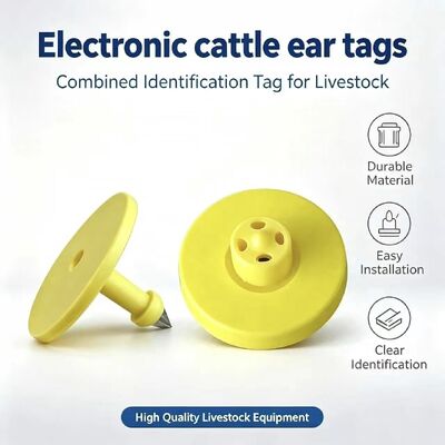 Waterproof RFID Ear Tag with ISO11784/5 Compliance and 5-Year Warranty for Livestock Tracking