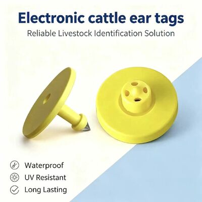 New Full ICAR ET908+T901 Waterproof RFID LF TPU Yellow Animal Ear Tags 14.5mm EM4305 Chips 5 Year Warranty Cattle Fofia