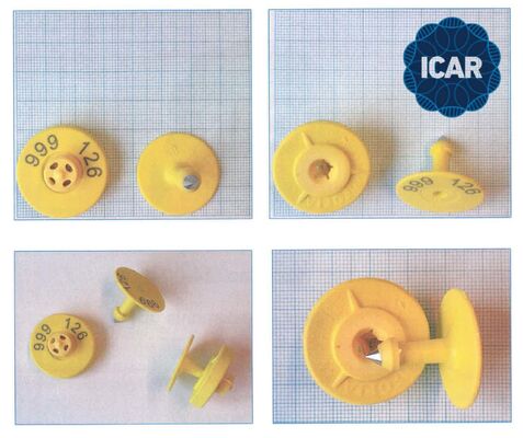 New Full ICAR LF Waterproof RFID TPU Yellow Animal Ear Tags 14.5mm ET908+T901 Chips 5 Year Warranty Fofia Cattle Use