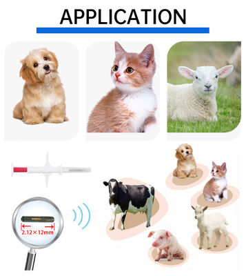 Waterproof Fofia New Hot Selling RFID 134.2kHz PP Material Dog ID Microchip Waterproof Farm Use Pet Injection 1.5 Year Ear Tag