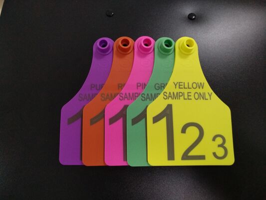 Fofia T921 New Cow Animal Tracking Ear Tag High Quality RFID TPU Chip Laser Coding 1.5 Year Warranty for Farm Cattle