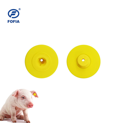 UHF RFID Animal Ear Tag For Pig Management | 960MHz Tracking Solution
