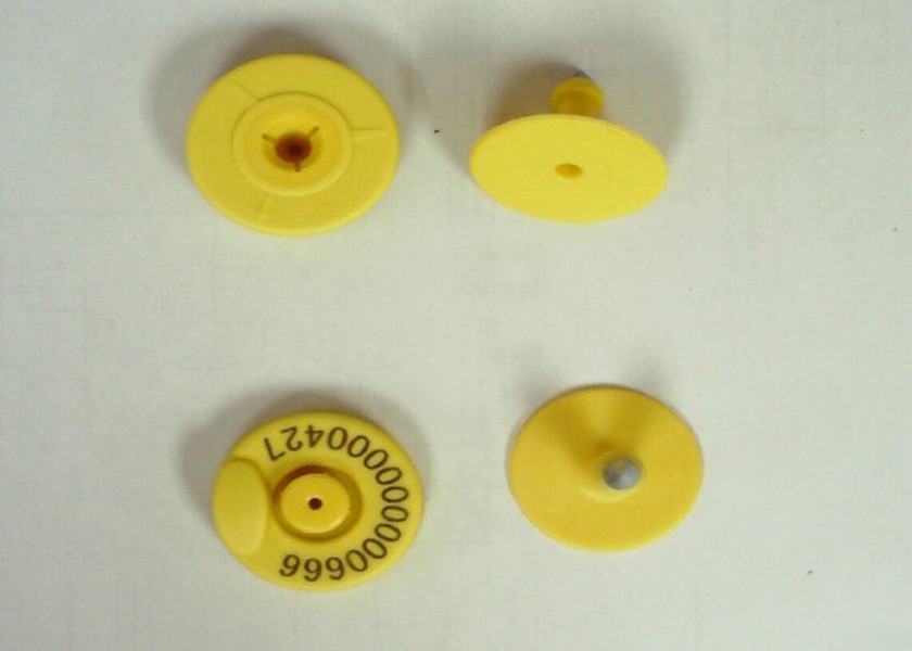 RFID Livestock Electronic Ear Tags For Cattle / Sheep , 134.2 Khz Frequency