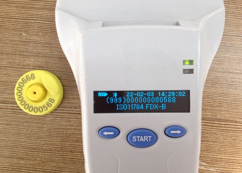 RFID Custom Printed Cattle Ear Tags Prevent Infectious Diseases , Yellow Color