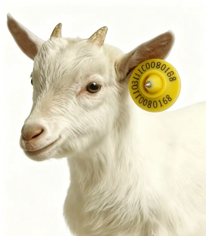 ICAR Certified RFID Ear Tag with TPU Material and 134.2kHz Frequency for Sheep and Goat Management