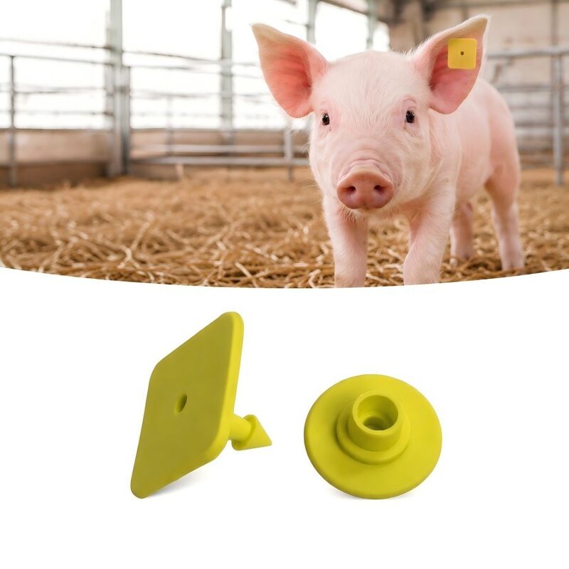 Laser Printing Swine Ear Tags Featuring EPC Gen2 V2 0 Compliance Standards Ideal For Livestock Tracking And Farm Management