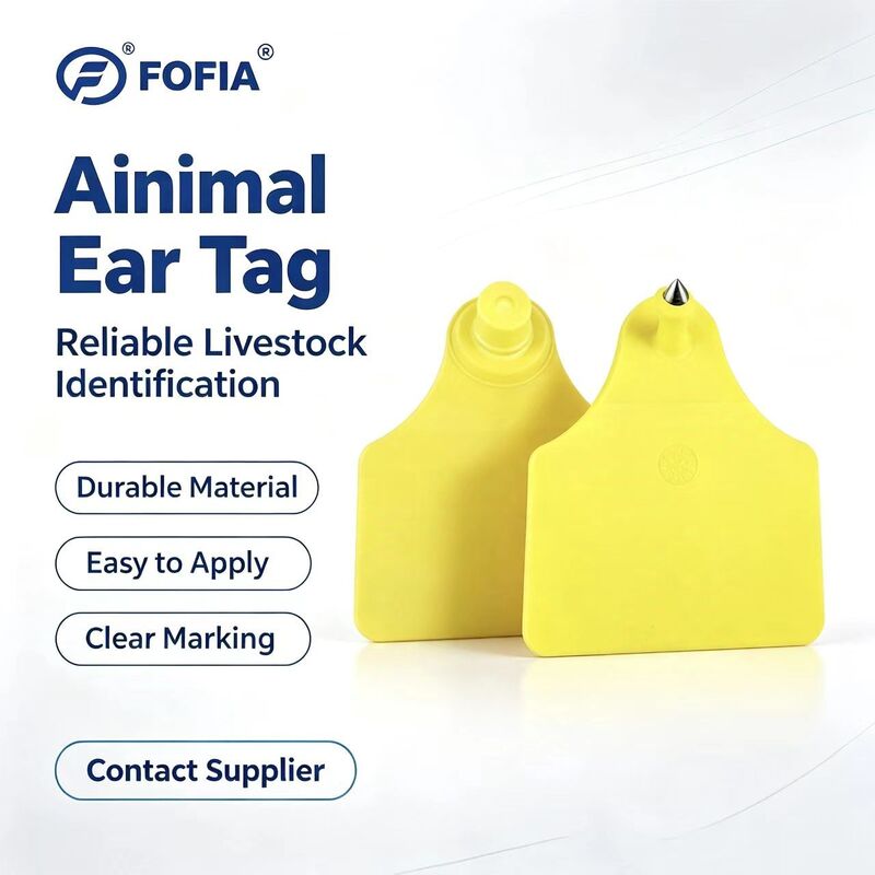 ICAR T904+T905 Combination Animal Ear Tag New High Quality RFID TPU 70*57mm Laser Coding 3 Year Warranty Farm Use for Cattle