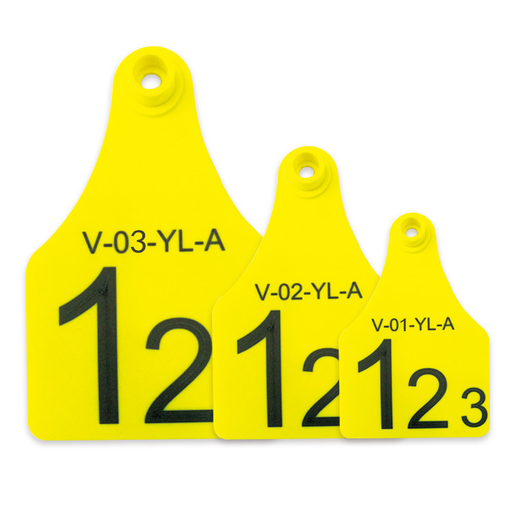 Mini / Middle / Large Size RFID Visual Tag Laser Printing Support Yellow Or Other