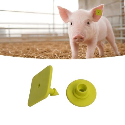 More Than 5 Years Validity Swine Ear Tags Laser Printing Livestock Tags Designed for Easy Identification and Management