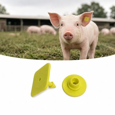 UHF Electronic Animal Ear Tag TPU Lightweight 3.2 Grams Identification Tags for Accurate Livestock Tracking and Data Collection