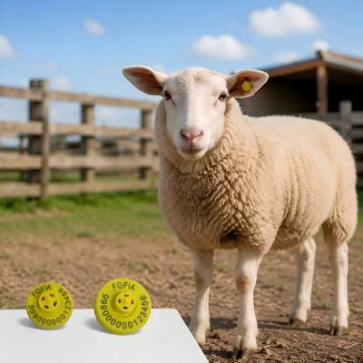 ICAR Certified Electronic Ear Tags For Livestock With TPU Material And 350N Tension For Farm Management