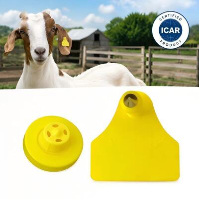 Yellow Goat Ear Tags High Visibility Identification Tags for Sheep Pig and Goat Livestock Management