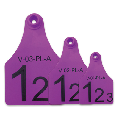 Purple Re - use Male Electronic Ear Tags For Divisional Management Of Animals