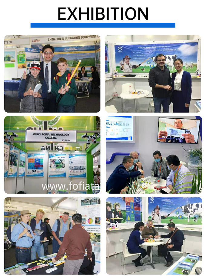 Injectable Transponders Pet Identification Microchip Implant For Dogs